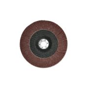 Круг шлифовальный лепестковый торцевой Луга 125*22 (А40)