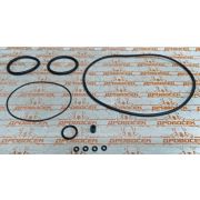 Прокладки (набор) CGP5580D