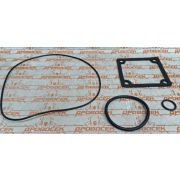 Прокладки (набор) CGP99100E