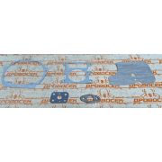 Прокладки (набор) CGP259 (143F)