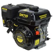 Двигатель DAMAN DM719 (7л.с, вал 19мм)